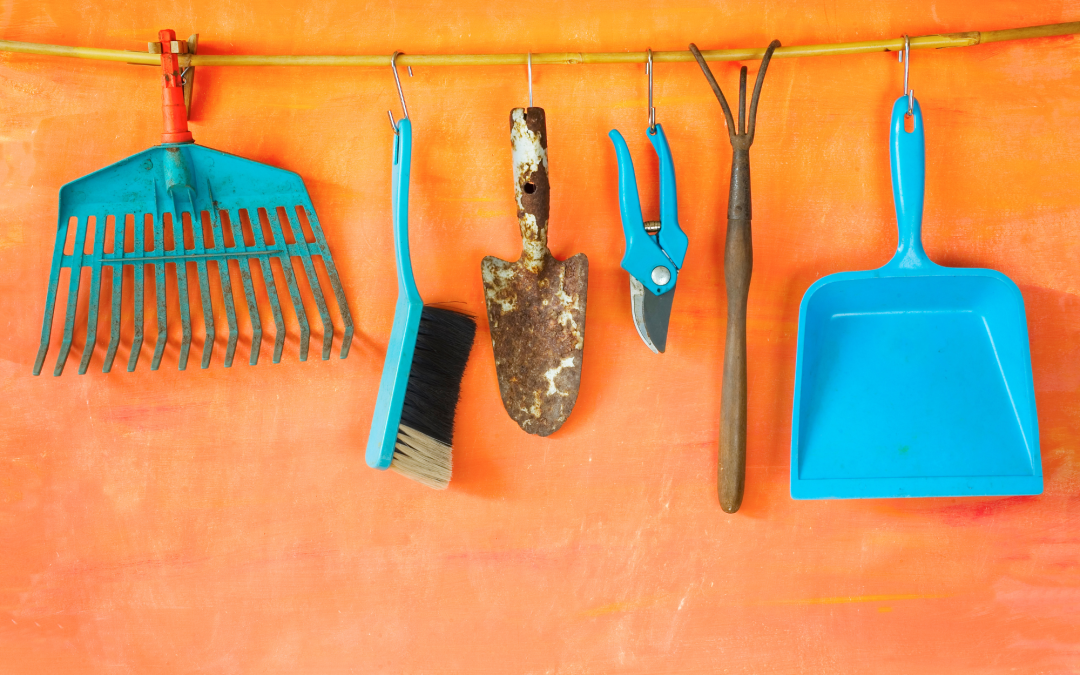 Tools of the Trade: Gear Every Gardener Needs for Success